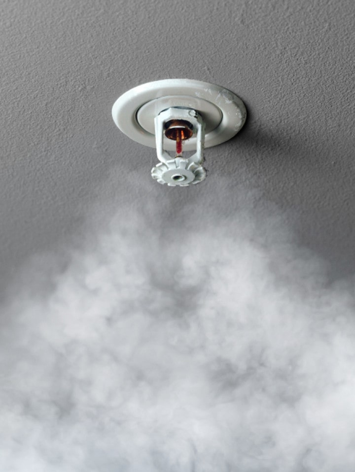 Fire Sprinkler System